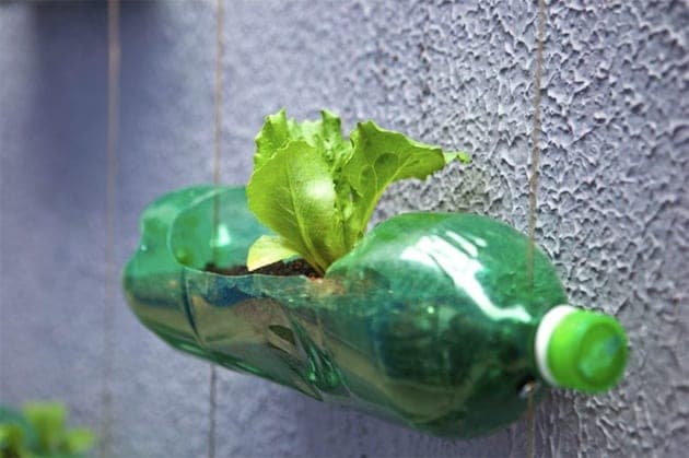 Jardinage