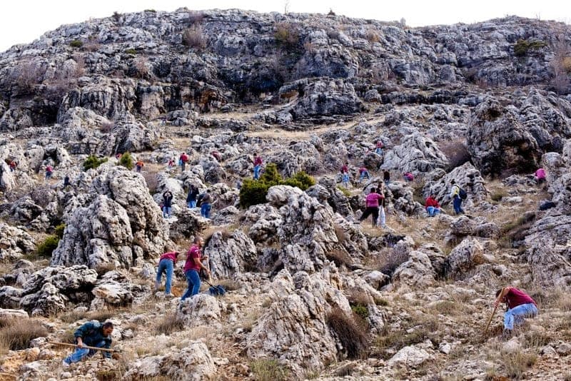 Reverdir nos Monts – Journée de Reboisement, Branche Route — photo 7