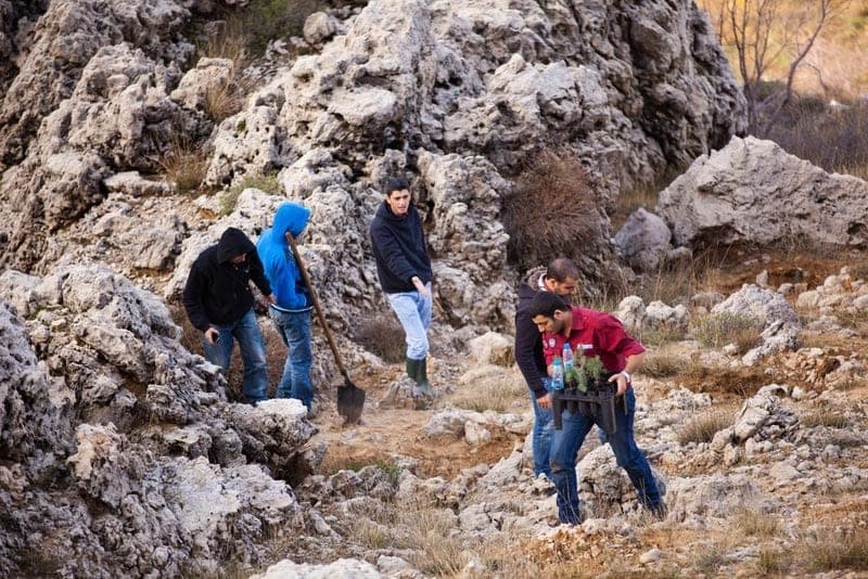 Reverdir nos Monts – Journée de Reboisement, Branche Route — photo 1