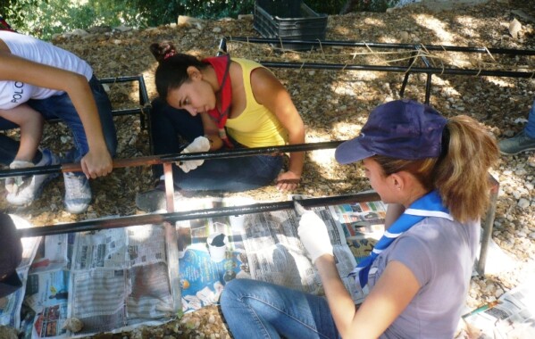 Camp d’aventure CC, ACC, CE et SE pionnières - "Des empreintes sur nos routes"