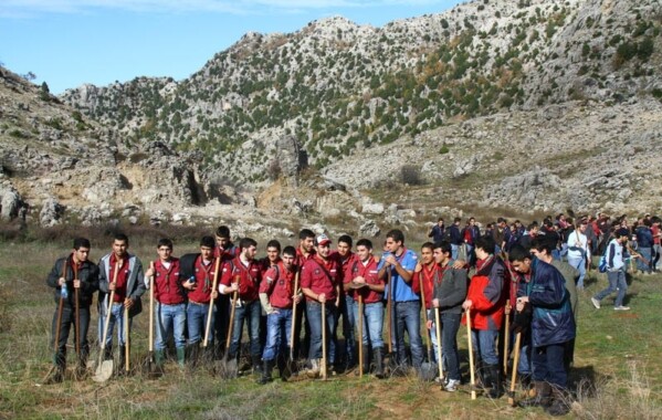 Reverdir nos Monts – Journée de Reboisement, Branche Route