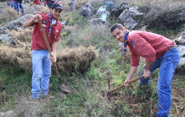 Reverdir nos Monts – Journée de Reboisement, Branche Route