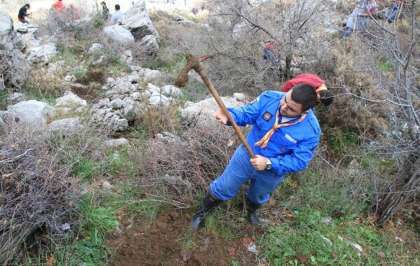 Reverdir nos Monts – Journée de Reboisement, Branche Route