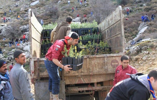 Reverdir nos Monts – Journée de Reboisement, Branche Route