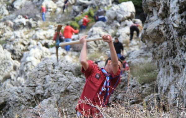 Reverdir nos Monts – Journée de Reboisement, Branche Route