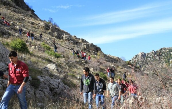 Reverdir nos Monts – Journée de Reboisement, Branche Route