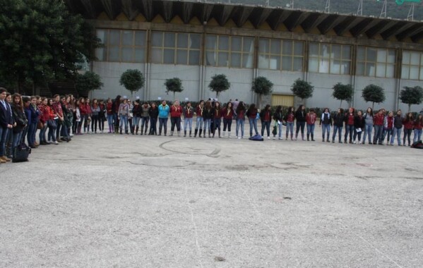 Gardiennes des bois – Journée de Reboisement, Branche Pionnière