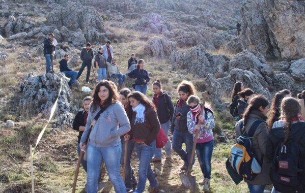 Gardiennes des bois – Journée de Reboisement, Branche Pionnière