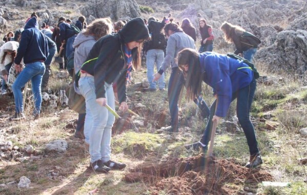 Gardiennes des bois – Journée de Reboisement, Branche Pionnière