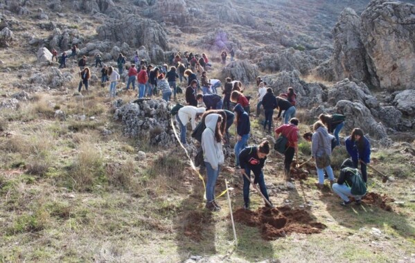 Gardiennes des bois – Journée de Reboisement, Branche Pionnière