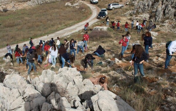 Gardiennes des bois – Journée de Reboisement, Branche Pionnière
