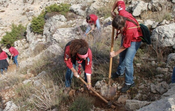 Gardiennes des bois – Journée de Reboisement, Branche Pionnière