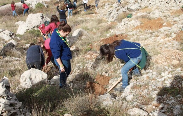 Gardiennes des bois – Journée de Reboisement, Branche Pionnière
