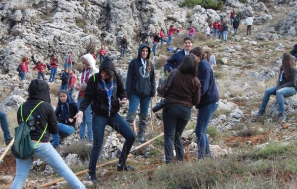 Gardiennes des bois – Journée de Reboisement, Branche Pionnière