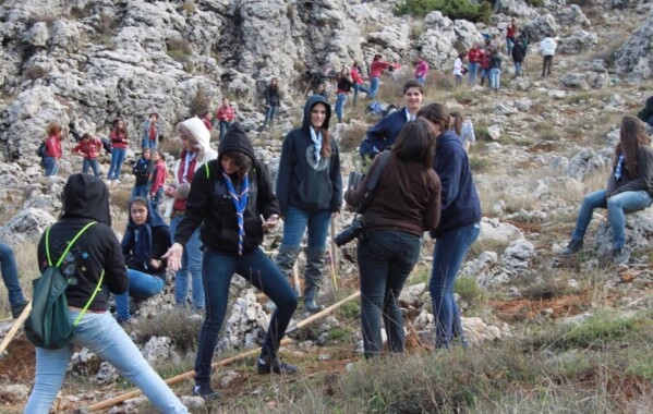 Gardiennes des bois – Journée de Reboisement, Branche Pionnière