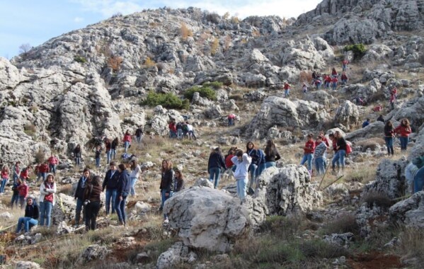 Gardiennes des bois – Journée de Reboisement, Branche Pionnière