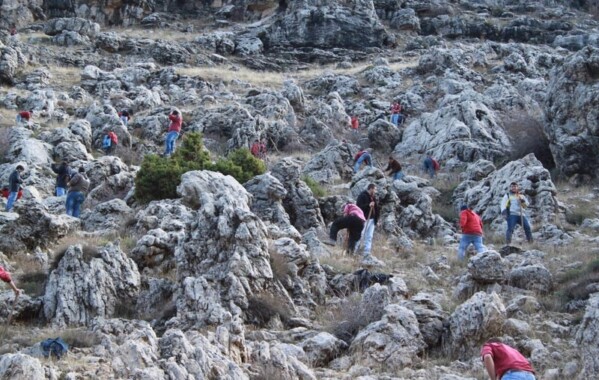Reverdir nos Monts – Journée de Reboisement, Branche Route