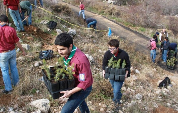 Reverdir nos Monts – Journée de Reboisement, Branche Route