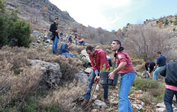Reverdir nos Monts – Journée de Reboisement, Branche Route