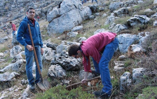 Reverdir nos Monts – Journée de Reboisement, Branche Route
