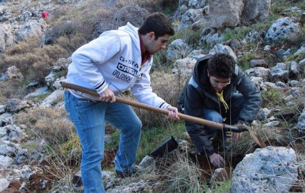 Reverdir nos Monts – Journée de Reboisement, Branche Route