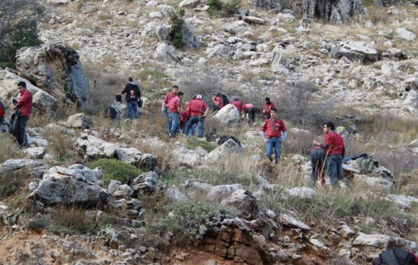 Reverdir nos Monts – Journée de Reboisement, Branche Route