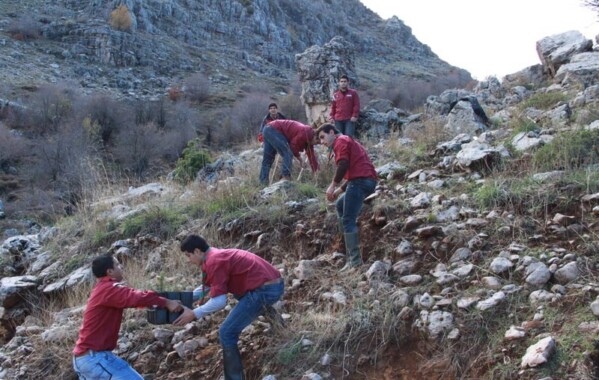 Reverdir nos Monts – Journée de Reboisement, Branche Route