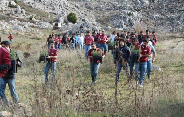 Reverdir nos Monts – Journée de Reboisement, Branche Route