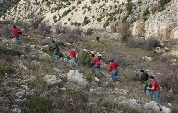 Reverdir nos Monts – Journée de Reboisement, Branche Route