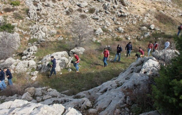 Reverdir nos Monts – Journée de Reboisement, Branche Route