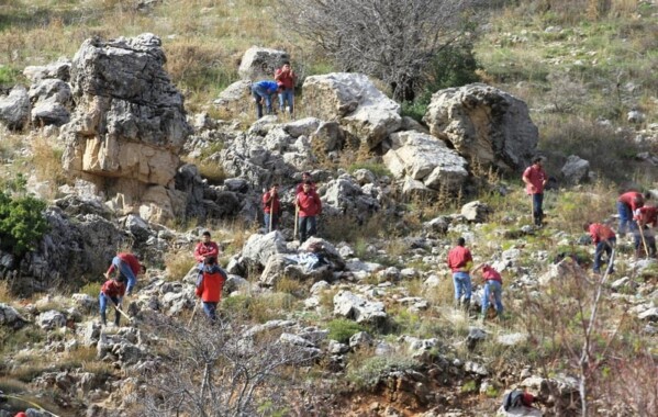 Reverdir nos Monts – Journée de Reboisement, Branche Route
