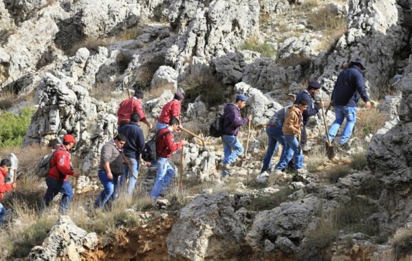 Reverdir nos Monts – Journée de Reboisement, Branche Route