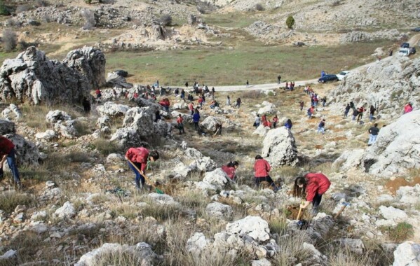 Gardiennes des bois – Journée de Reboisement, Branche Pionnière