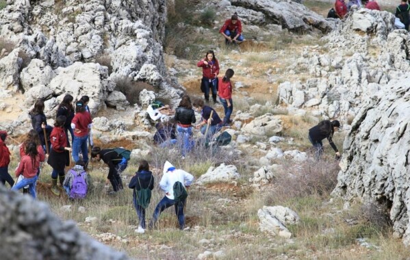 Gardiennes des bois – Journée de Reboisement, Branche Pionnière