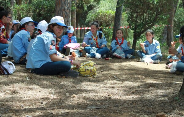 Rayons de joie - Rallye Louvette 2014