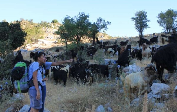 Camp Aventure CC/ACC/CE Pionnière