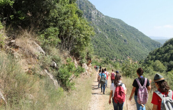 img_6582_resize_resize