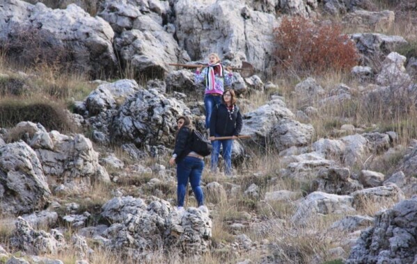 Reverdir nos Monts – Journée de Reboisement, Branche Route