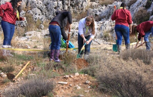 Gardiennes des bois – Journée de Reboisement, Branche Pionnière