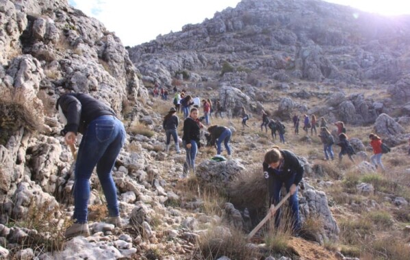 Gardiennes des bois – Journée de Reboisement, Branche Pionnière