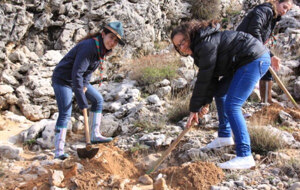 Gardiennes des bois – Journée de Reboisement, Branche Pionnière