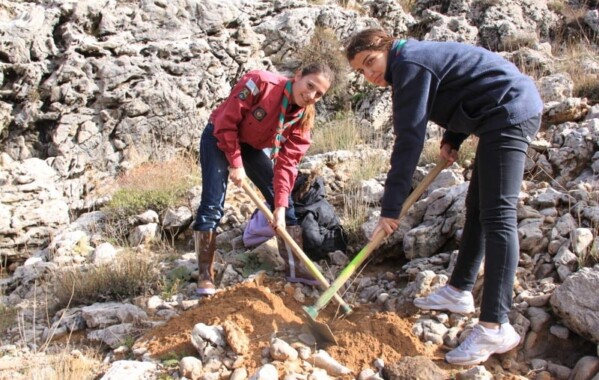 Gardiennes des bois – Journée de Reboisement, Branche Pionnière