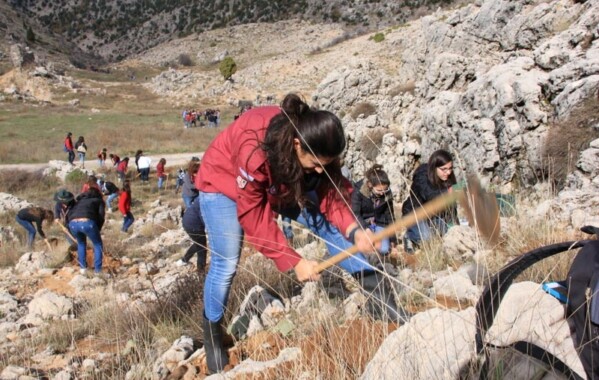 Gardiennes des bois – Journée de Reboisement, Branche Pionnière