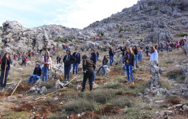 Gardiennes des bois – Journée de Reboisement, Branche Pionnière
