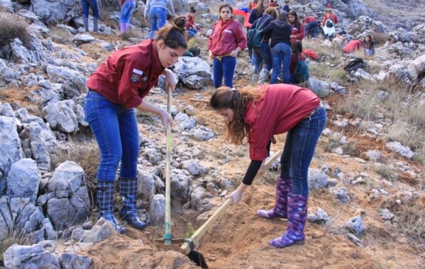 Gardiennes des bois – Journée de Reboisement, Branche Pionnière