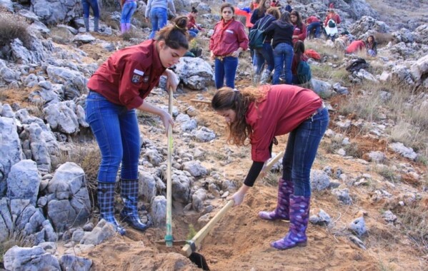 Gardiennes des bois – Journée de Reboisement, Branche Pionnière
