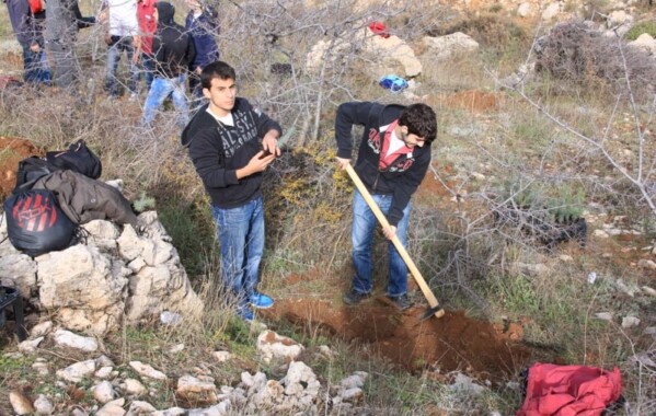 Reverdir nos Monts – Journée de Reboisement, Branche Route
