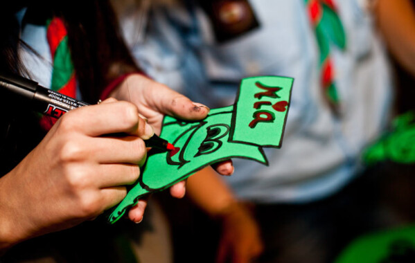 Camp Première Chasse Louvette - «Rassemblement aux bords de la Waigunga»