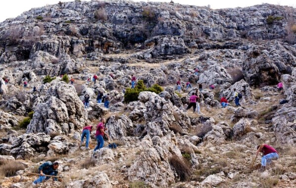 Reverdir nos Monts – Journée de Reboisement, Branche Route
