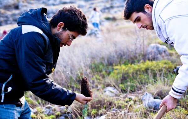Reverdir nos Monts – Journée de Reboisement, Branche Route